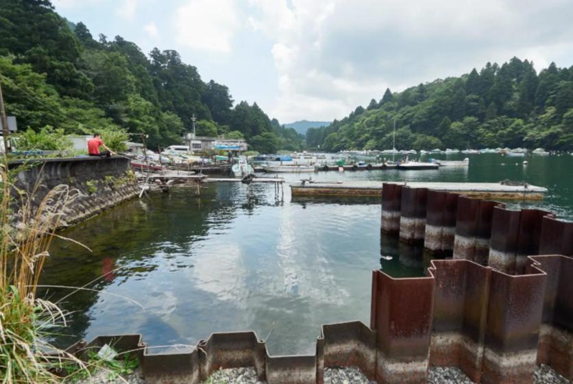 Chalet Itomic L - Lake View - Hakone Ngoại thất bức ảnh